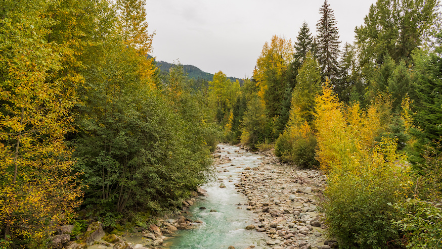 Whistler river with fall colors