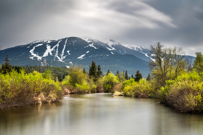 River of Golden Dreams Whistler