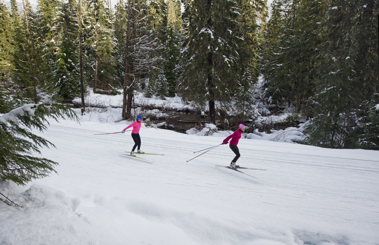 Lost Lake Nordic Skiing