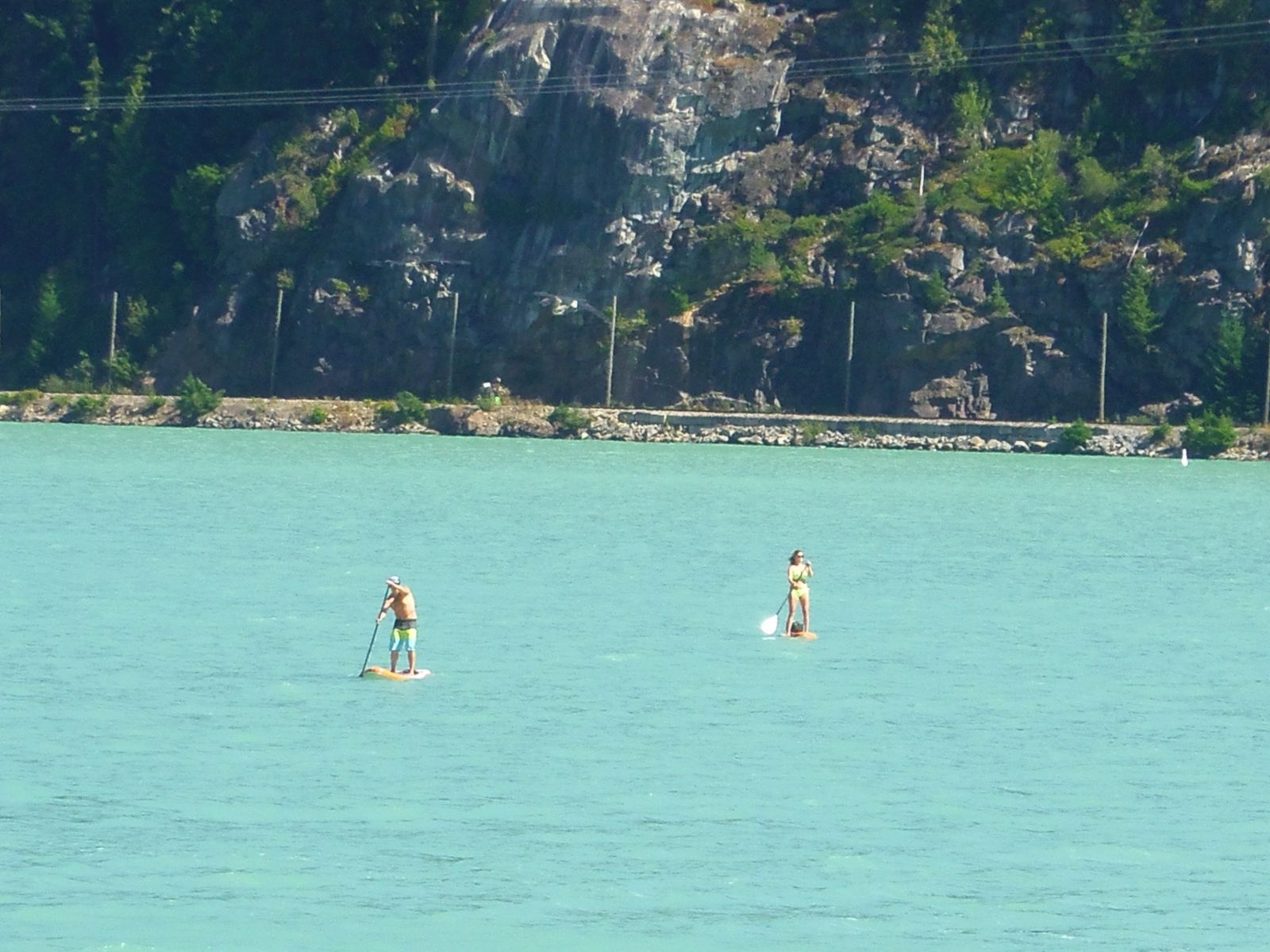 Paddle boards on Green Lake