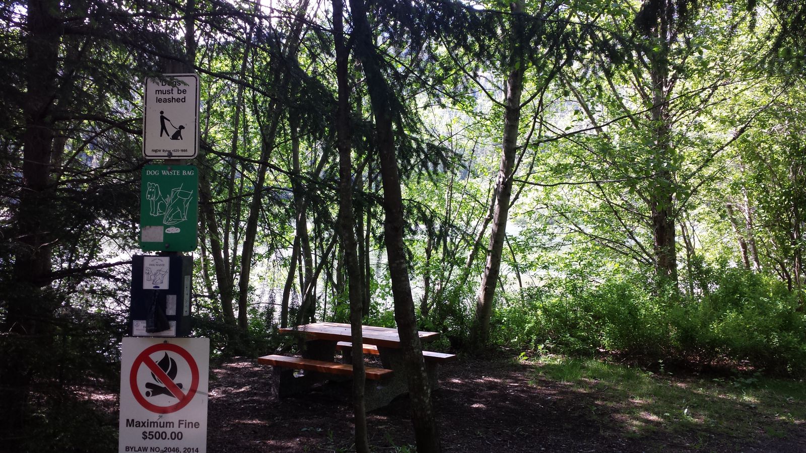 Nita Lake picnic tables