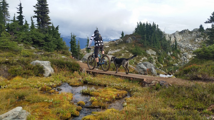 Sproatt Alpine Multi-Use Bike Hike Trail in Whistler