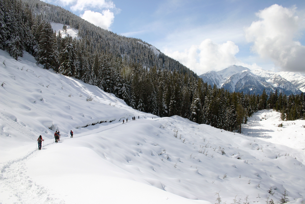 Snowshoeing in Whistler