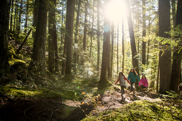 young family hiking through beautiful forest