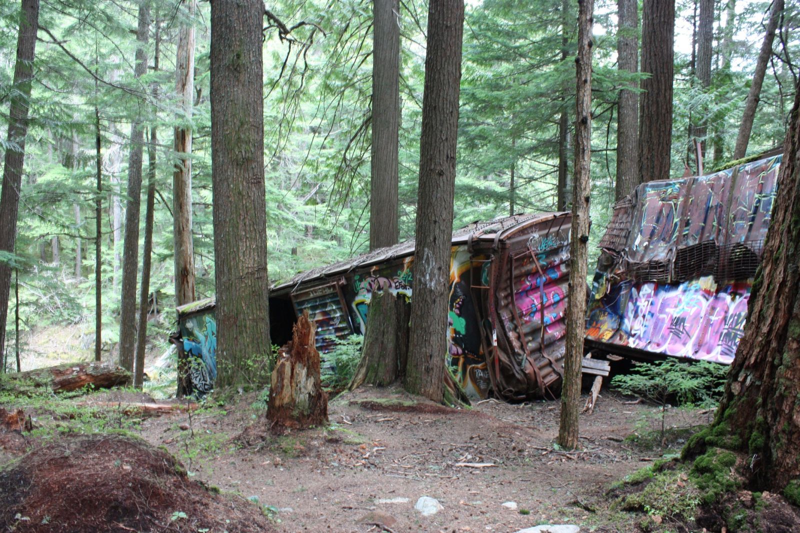 Whistler Train Wreck