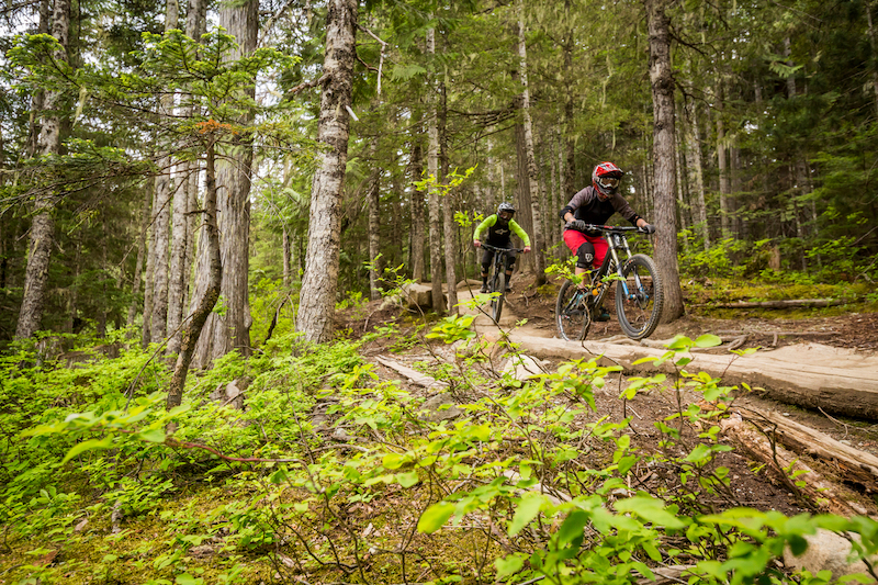 two people riding mountain bikes at whistler mountain bike park