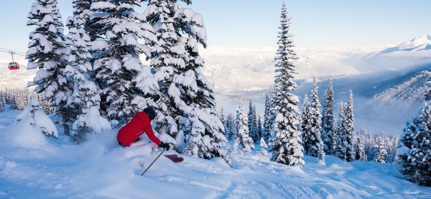 Whistler skier in the powder