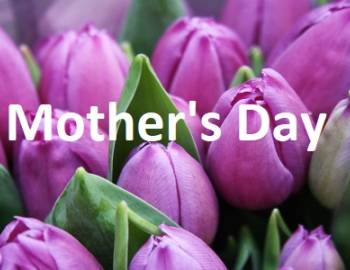Mother's Day Whistler