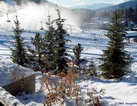 Ski in ski out properties Whistler