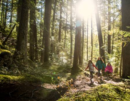 Hiking in Whistler in the summer