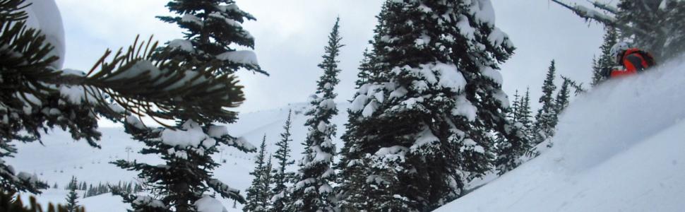 Whistler Blackcomb skiing in Musical Bumps area