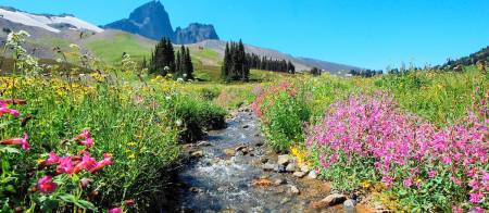Whistler Blackcomb Accommodations Blackcomb Peaks