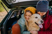 A family roadtrip to Whistler with their dog