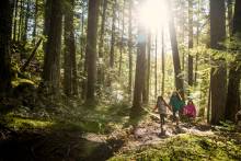 Hiking in Whistler in the summer