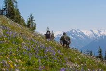 May in Whistler