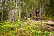 mountain biking trails at whistler blackcomb in british columbia canada